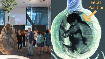 मरने के बाद इस टेक्नोलॉजी से बन सकते है पेड़, Watch Video | Boldsky