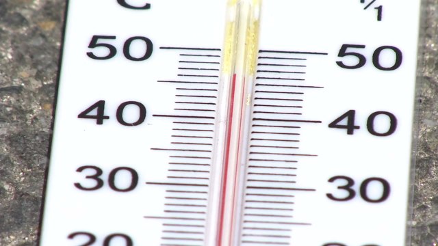 [날씨] 내륙 전 지역 폭염 경보...특보 도입후 처음 / YTN