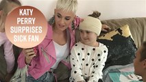 Katy Perry gives private concert to sick fan