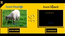LES ANIMEAUX EN CHAWI-TAMAZIGHT - HOW TO SAY ANIMALS IN TAMAZIGHT- IGHARSSIYEN