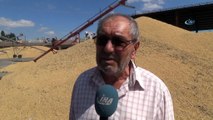 Sivas’ta buğday alımları başladı...Buğday pazarı havadan görüntülendi