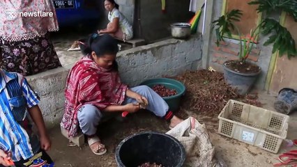 This gasoline addict inhales more than a litre of fuel each day