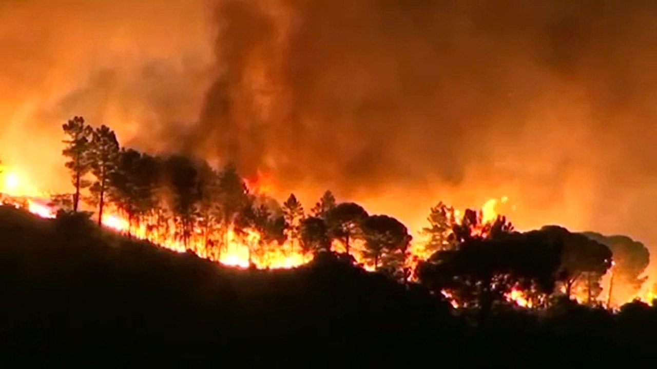 Waldbrände wüten in Andalusien