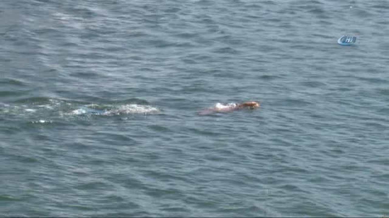 Beylikdüzü'nde "20'nci Avrupa Gençler Paletli Yüzme Avrupa Şampiyonası" Gerçekleştirildi