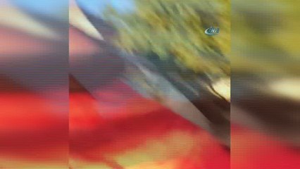 Kuşadası’nda yavru köpeğe odunla yapılan saldırıya suç duyurusu