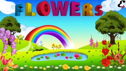 flower names in animation video for kids and children