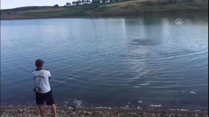 Adıyaman'da Suriyeli 3 Kız Kardeş Kayboldu