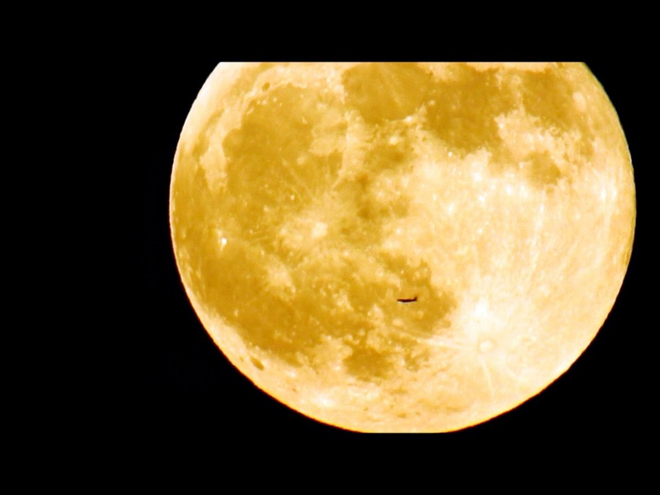 Plane Flies by Full Moon