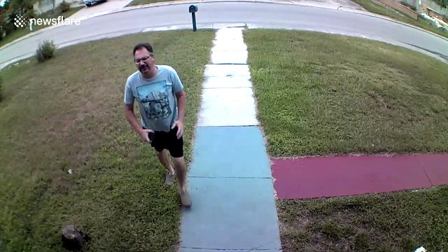 Florida man's reaction to cat's great escape will have you in stitches