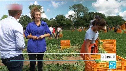 Workers are unwilling to travel to Britain ahead of Brexit.