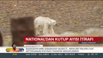National Geographic'ten kutup ayısı itirafı