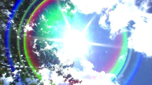 [날씨] 내륙 전 지역 폭염 경보...특보 도입후 처음 / YTN