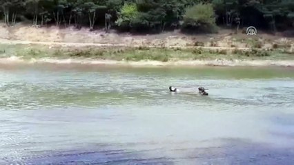 Gölete giren çocuk boğuldu - KOCAELİ