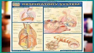 AudioEbooks Respiratory System (Quickstudy: Academic) Unlimited