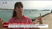 Cria de orca que ficou presa em cabos de pesca ao largo de Portimão foi salva por mergulhadores. Veja as imagens