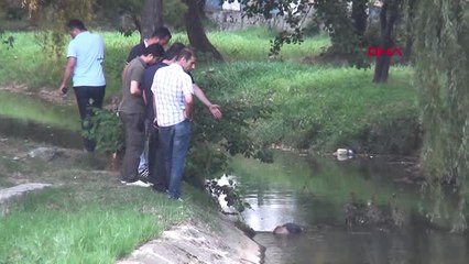 Yalova'da Derede Erkek Cesedi Bulundu
