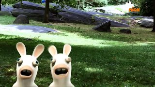 Rabbids Invasion (Nickelodeon) Promo