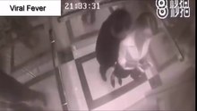 Most Shocking CCTV Viral Videos Around The World 2018