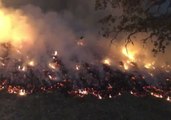 San Francisco Firefighters Light Grass to Direct Ranch Fire