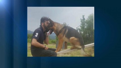 "Heldenhund" von Amatrice vergiftet