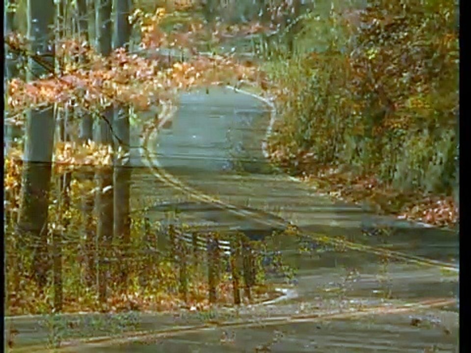 Watkins Glen - The Street Years
