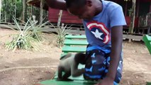 Best Fails Funny KIDS VS ANIMALS | Epic Fails Funny Videos Compilation | JULY 2018 Part 1