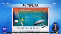 [아침 신문 보기] 맹독 해파리에 백상아리 출몰…魚 뜨거워! 外