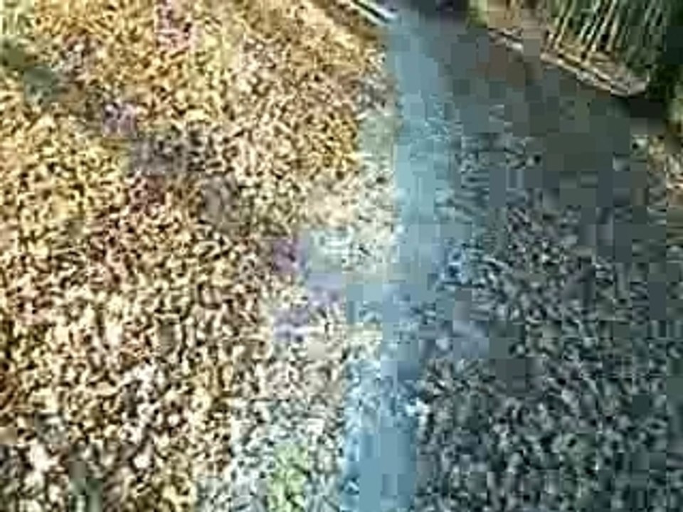 Altkönig / Helmkamera