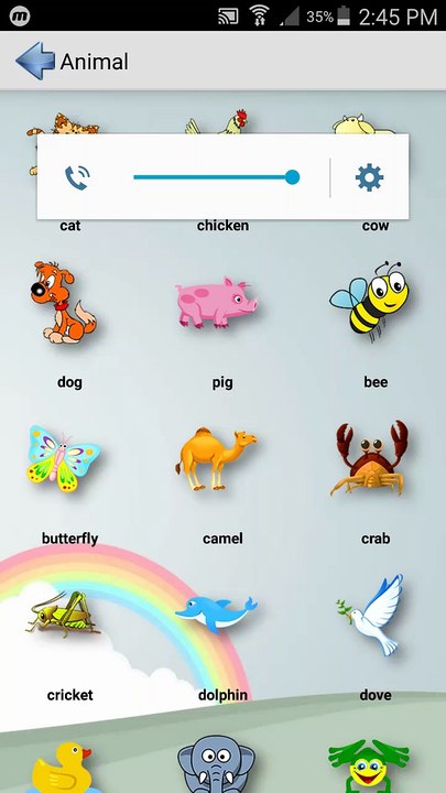 Kids Animals Learning