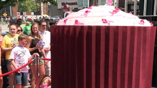 Largest Cupcake made by NH Company makes Guinness Book of World Records!