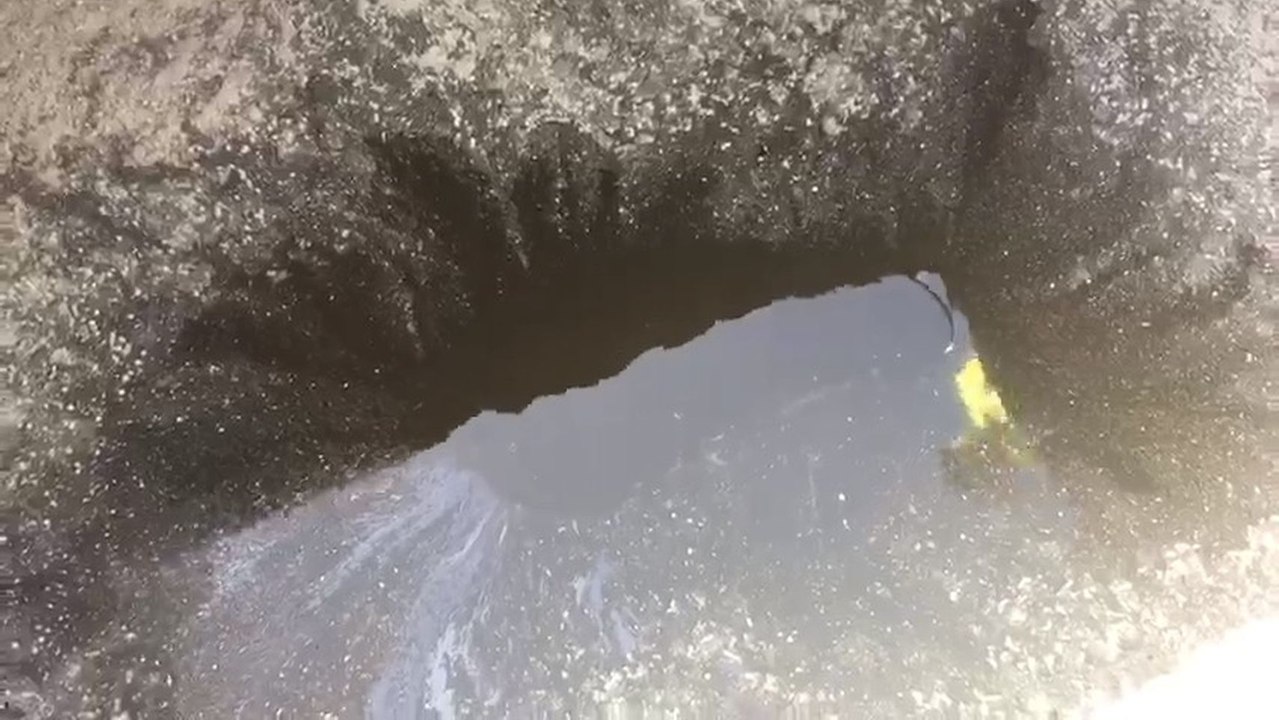 La bacteria se reagrupa