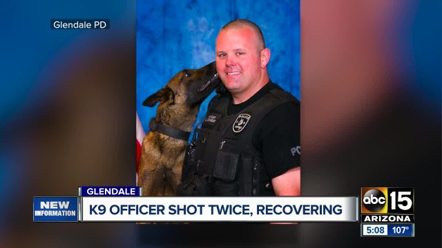 Glendale K-9 recovering after shooting in Phoenix
