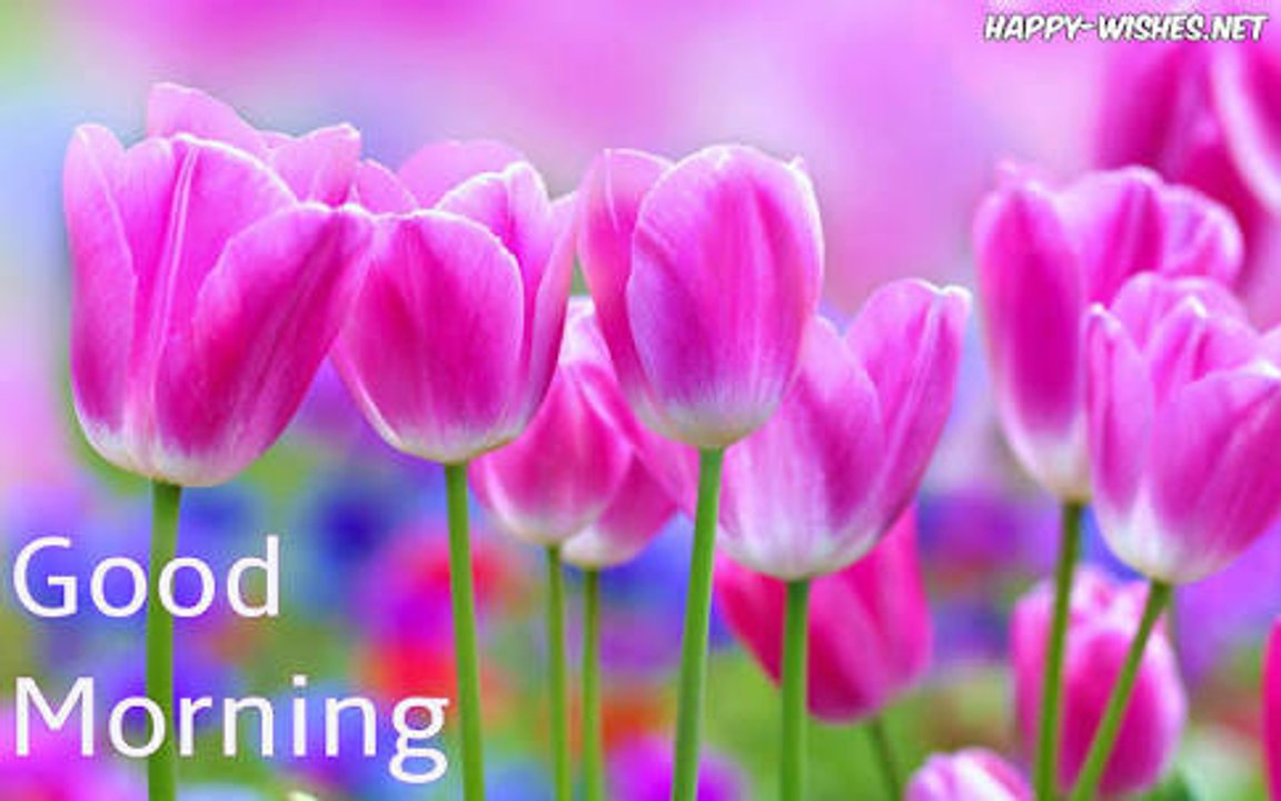 Good morning video