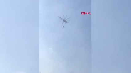 Manisa Turgutlu'da Otluk ve Zeytinlik Alanda Yangın