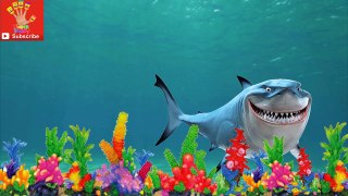 Finding Nemo Finger Family Song Finding Dory
