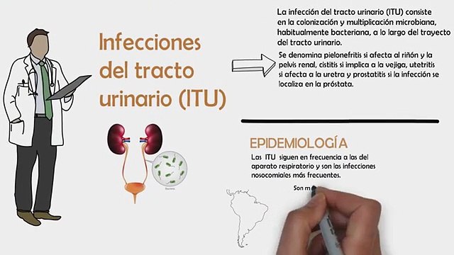 ¿TENGO INFECCIÓN URINARIA? | ¿QUE ES UNA ITU? | INFECCIÓN DEL TRACTO URINARIO (ITU) | FISIOPATOLOGIA