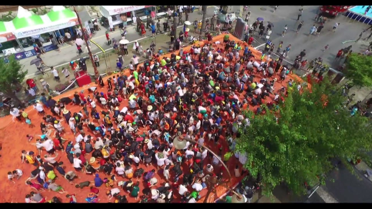 폭염에 더 '후끈'...붉게 물든 토마토 축제 / YTN