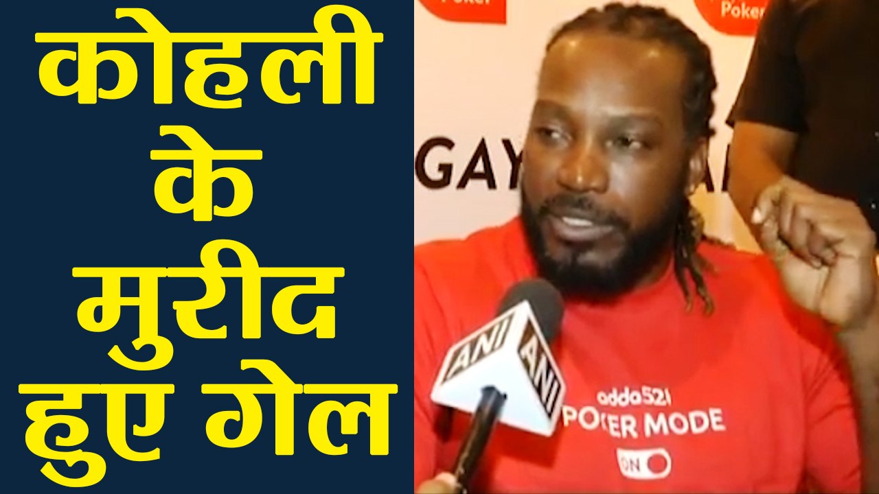 India vs England 1st Test: Chris Gayle Praises Virat Kohli, says He inspires Team to win । वनइंडिया