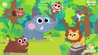 Candybots Animals for Kids Learn Sound & Name Friends in the Forest