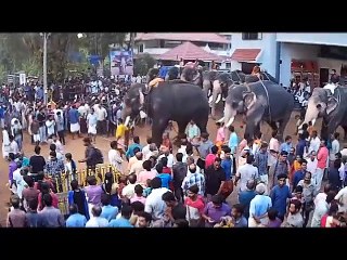 Arattupuzha Pooram in Kerala 2018