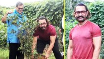 Aamir Khan Plants A Tree At Subhash Ghai's Whistling Woods, Mumbai