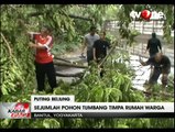 Puluhan Pohon Tumbang Akibat Puting Beliung di Bantul Yogyakarta