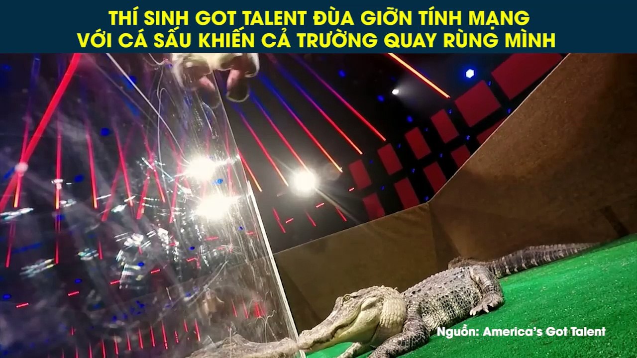 THÍ SINH GOT TALENT ĐÙA GIỠN TÍNH MẠNG VỚI CÁ SẤU KHIẾN CẢ TRƯỜNG QUAY RÙNG MÌNH
