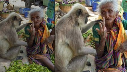 ஒரே நாளில் அத்தனை பேரையும் உலுக்கி எடுத்த படம்!- வீடியோ