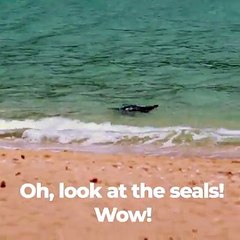 That sounds like the living! #TinyParadise Tonight 9|8c!