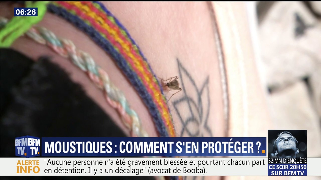 Prenez soin de vous: Est-il vrai qu'éteindre la lumière évite de se faire piquer par les moustiques ?