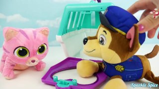 Doc mcstuffins pet carrier with chase