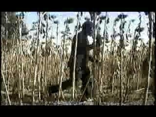 Terreur à Toulouse : 5eme partie