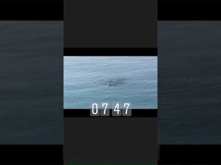 Edi Rama duke notuar