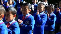 Top Going-to-School stories from India